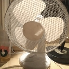 Download ale_onlyfans OnlyFans content for free 

 profile picture