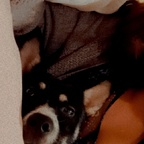 Free access to @alissrodriguez Leaks OnlyFans 

 profile picture