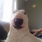 Onlyfans leak amaaterasuu 

 profile picture