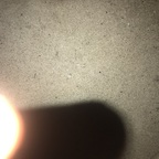 asianspade (Asianspade) free OnlyFans Leaked Pictures and Videos 

 profile picture