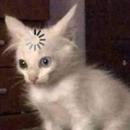 Free access to (@batux) Leaked OnlyFans 

 profile picture