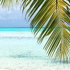 beachy OnlyFans Leaks 

 profile picture