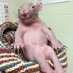 blinked (Saintly) OnlyFans Leaks 

 profile picture