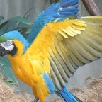 bobliterator OnlyFans Leaked 

 profile picture