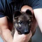 bokica OnlyFans Leaked Photos and Videos 

 profile picture