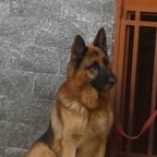 Free access to (@bonbon) Leaked OnlyFans 

 profile picture