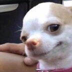 bunnyxx OnlyFans Leaked Photos and Videos 

 profile picture