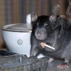 Onlyfans leaked buttcrack 

 profile picture