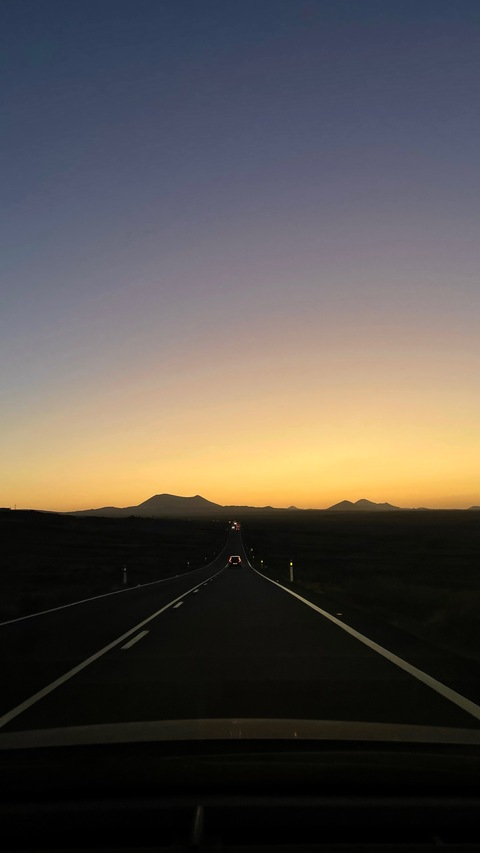 Header of canaryfans