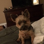 chellb (Chellb) free OnlyFans content 

 profile picture