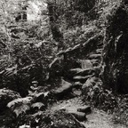 Free access to @connerd123 Leaks OnlyFans 

 profile picture