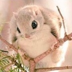 Onlyfans leaks cuntnugget 

 profile picture