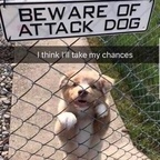 daddy22frost (Mr.FeelsGood) OnlyFans Leaked Videos and Pictures 

 profile picture