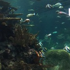 Download danield2388 OnlyFans videos and photos for free 

 profile picture