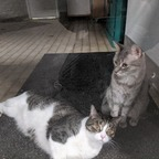 Download davkdgreytheonly1 OnlyFans content for free 

 profile picture