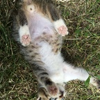 Onlyfans leaked deniii 

 profile picture