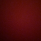 denisek (Denise) OnlyFans Leaked Pictures & Videos 

 profile picture