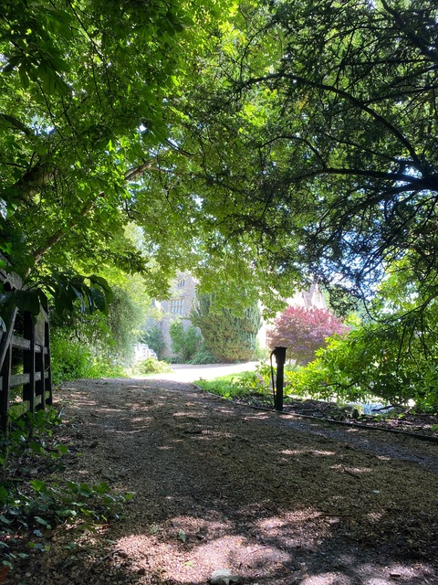 Header of dont_miss_kay