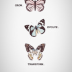 Download fireanddesiree OnlyFans leaks for free 

 profile picture