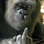 Onlyfans leak greenlandic 

 profile picture