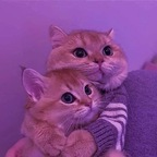 habibi01 (Baby01) free OnlyFans Leaks 

 profile picture