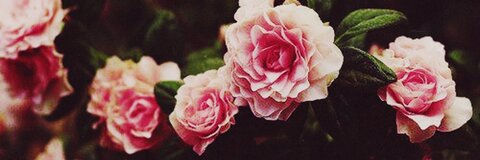 Haydies - birthday month &amp; spooky season 💀🎃 @haydies cover picture