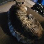 Download jayare71420 OnlyFans content for free 

 profile picture