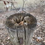 jege2 OnlyFans Leaks 

 profile picture