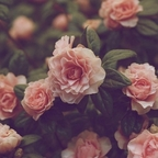 Download jordyn OnlyFans videos and photos for free 

 profile picture