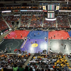 Download justinwellik OnlyFans content for free 

 profile picture