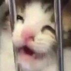 Download karasboke OnlyFans content for free 

 profile picture