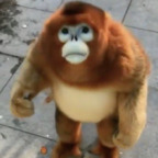 kielbasasir (KielbasaSir) free OnlyFans Leaked Pictures & Videos 

 profile picture