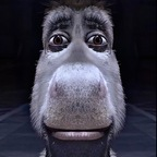 Free access to (kittycat222) Leak OnlyFans 

 profile picture