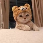 kloux OnlyFans Leaked Photos and Videos 

 profile picture