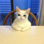 Onlyfans leaks la-la 

 profile picture