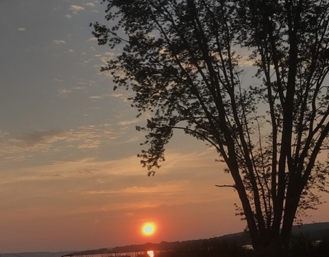 Lane @lane217 cover picture