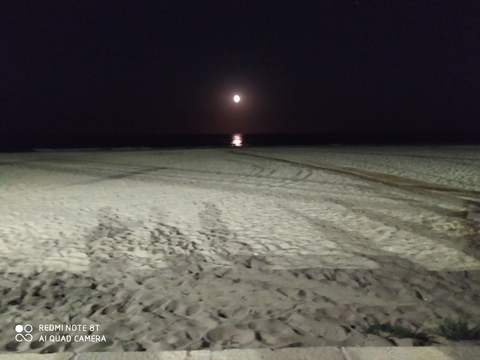 Header of lexiesol21