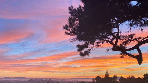 LONDON LIX @londonlix cover picture