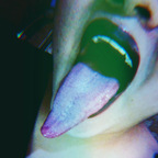 Onlyfans leaks lupitahellqueeen 

 profile picture