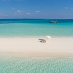 maldives (PhotographyMaldive) free OnlyFans Leaked Pictures & Videos 

 profile picture