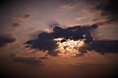 Marley Magdalene @marleymagdalene cover picture