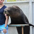 Free access to @maxsael27 Leak OnlyFans 

 profile picture