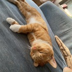 Download melamori OnlyFans leaks for free 

 profile picture