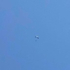 miranda_lynn (Miranda Lynn) OnlyFans content 

 profile picture