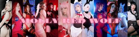 MollyRedWolf 🦊 @mollyredwolf cover picture