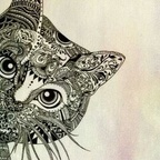 moroz (Cin) free OnlyFans Leaks 

 profile picture