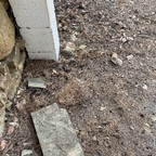 natacha33 OnlyFans Leaked 

 profile picture