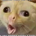 Nickxoxo (nickxoxo) Leak OnlyFans 

 profile picture