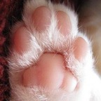 onlykittykatt (Katt) OnlyFans Leaked Pictures & Videos 

 profile picture