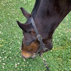 Free access to @princesselleon Leaked OnlyFans 

 profile picture